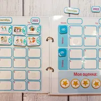 Адаптированный школьный дневник и плакат-календарь