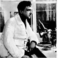 Московская чума 1939 года