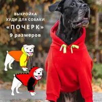 Худи для собаки "Почерк"