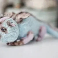 Выкройка Дракон