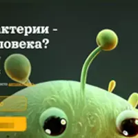 Почему бактерии - друзья человека?