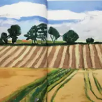 Фотография и современное искусство