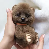 Медвежонок