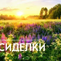 Фитопосиделки-5. Летние невзгоды и как с этим жить