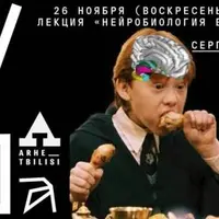 Нейробиология взросления