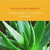 Уксус из алоэ вера