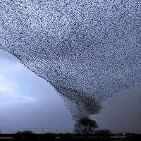 Магическое и не магическое в жизни и расстановках