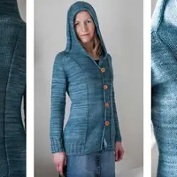 Жакет с капюшоном Well Water Hoodie