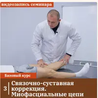 Связочно-суставная коррекция. Миофасциальные цепи