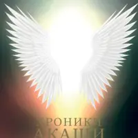 Хроники Акаши. Игра Бога. Квантовый переход