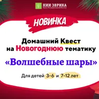 Домашний квест Волшебные шары