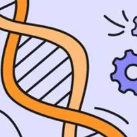 Доступный биохакинг: как прожить до 120 лет