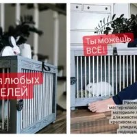 Интерьерная клетка-пуфик