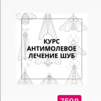 Антимолевое лечение шуб