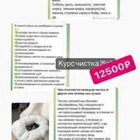 Чистка меха