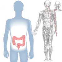 Audio-Psy-модуль «Исцеление толстого кишечника»