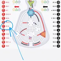 Практикум «Призвание». Дизайн человека