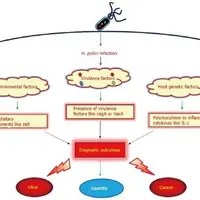Основная причина гастрита, язвы и рака желудка - Helicobacter pylori