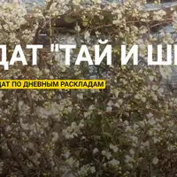 Выбор дат «Тай И Шен Шу»