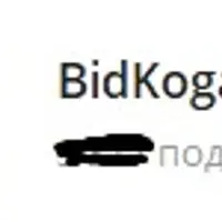 Подписка на Telegram-канал bidkogan. Февраль 2024