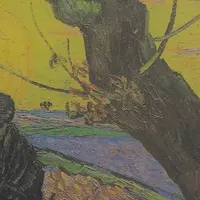 Ускользающая реальность. Современная философия сознания