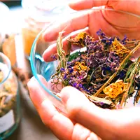 Фитооздоровление при эндокринных заболеваниях