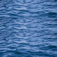 Золотое. Ритуал Воды