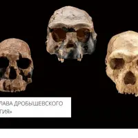 Антропология