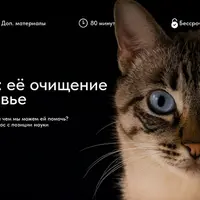 Печень: её очищение и здоровье