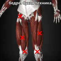 Массаж триггерных точек в бедре