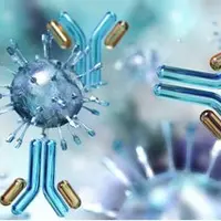 На переднем крае иммунологии. Врожденный иммунитет