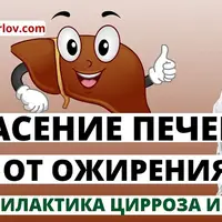 Ожирение печени: лечение жировой болезни печени