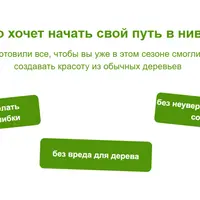 Дерево как произведение искусства