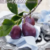 Ветка сливы