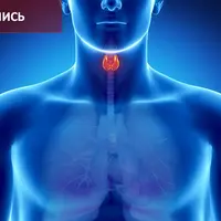 Возможности Су Джок терапии и ТКМ в эндокринологии