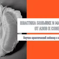 Пластика больших и малых половых губ: от азов к совершенству