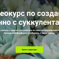 Панно с суккулентами