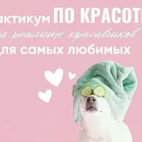Практикум по красоте