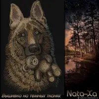 Дизайн машинной вышивки Друг... в ночи