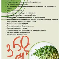 Учебное пособие по выращиванию микрозелени дома