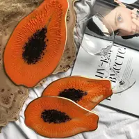 Эпоксидная смола: Основной курс