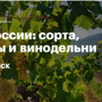 Вина России: сорта, регионы и винодельни