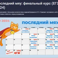 Последний мяу: финальный курс ЕГЭ