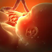 Внутриутробная травма, микропсихоаналитический подход