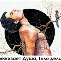 Цикл бесед о Новой Германской Медицине (GNM)