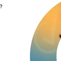 Как начать все успевать?