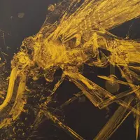 Чёрный пантеизм: Батай, Беньямин и ужас природы