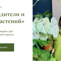 Болезни, вредители и реанимация растений