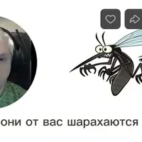 Клещи, комары, клопы и мошка - как защитить людей и животных с помощью эфирных масел