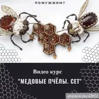 Медовые пчелы. Сет